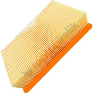 Karcher NT 25-65 / 1 Hepa Filtre